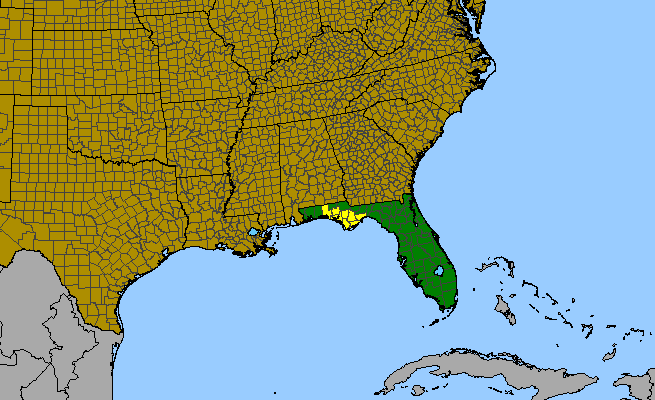 The range of Verbesina chapmanii